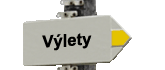 Vlety